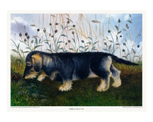 Load image into Gallery viewer, Lottie